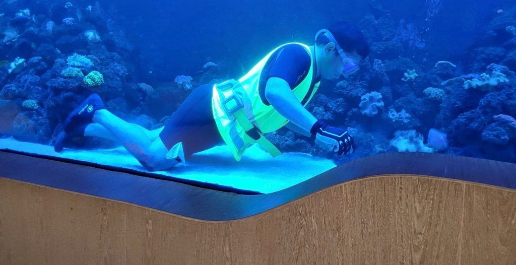 Best Aquarium Maintenance Services | Expert Care - Custom Large Capacity Aquarium Maintenance